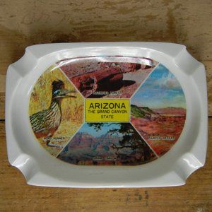 Vintage Arizona Grand Canyon Painted Desert Petrified Forest Melamine Ashtray